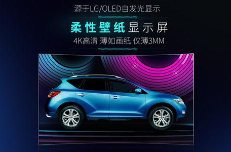 广东具有口碑的OLED显示屏厂家|OLED显示屏价格